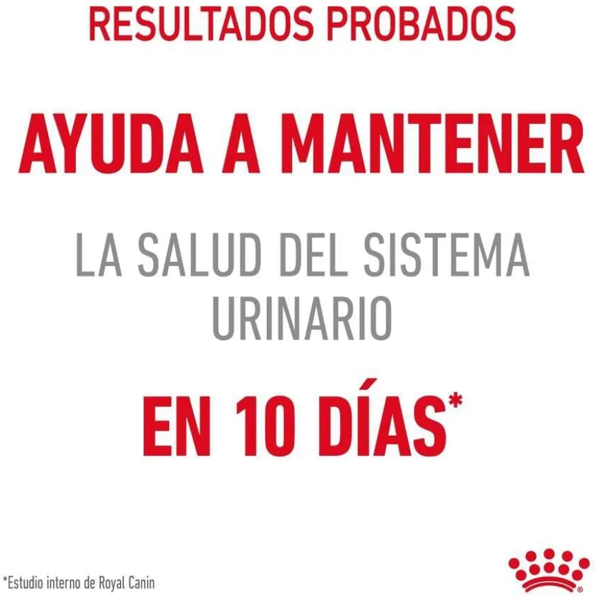 Royal Canin Urinary Care Adult Saqueta em molho para gatos