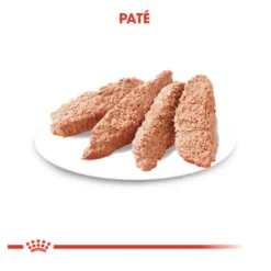 Royal Canin Urinary Care patê saqueta para cães