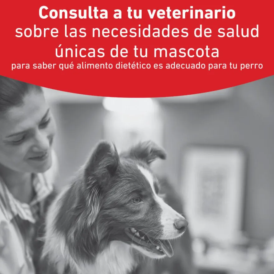 Royal Canin Veterinary Diabetic Lata para cães
