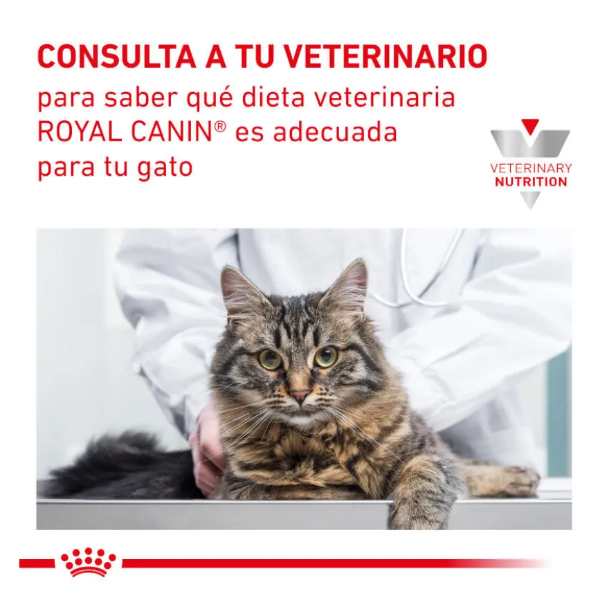 Royal Canin Veterinary Renal ração para gatos
