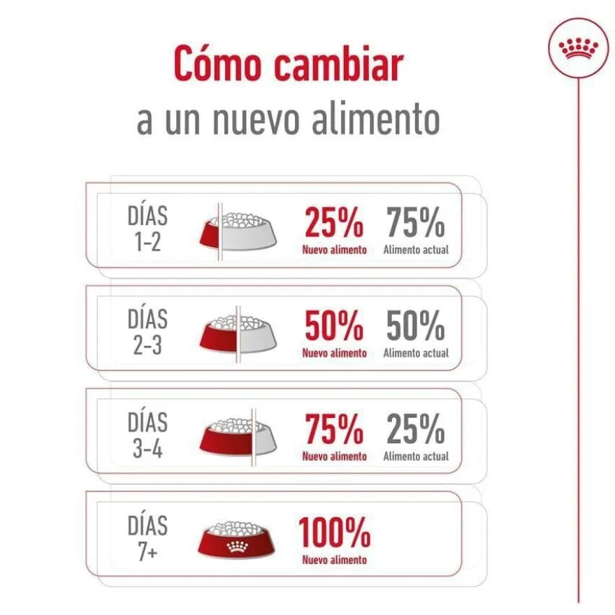 Royal Canin X-Small Adult ração para cães
