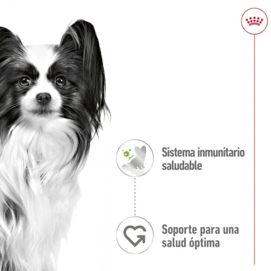 Royal Canin X-Small Adult saquetas com molho para cães