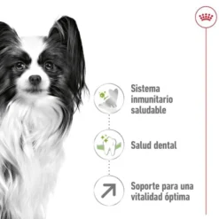 Royal Canin X-Small 8+ Mature ração para cães