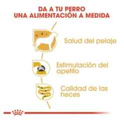 Royal Canin Yorkshire Terrier saquetas para cães