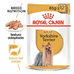 Royal Canin Yorkshire Terrier saquetas para cães