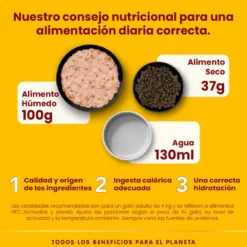 Sachê de filé de frango esterilizado com HFC Almo Nature para gatos
