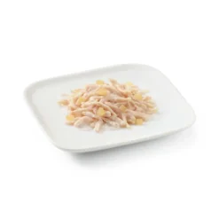 Schesir Adult Frango com Ananás lata para cães
