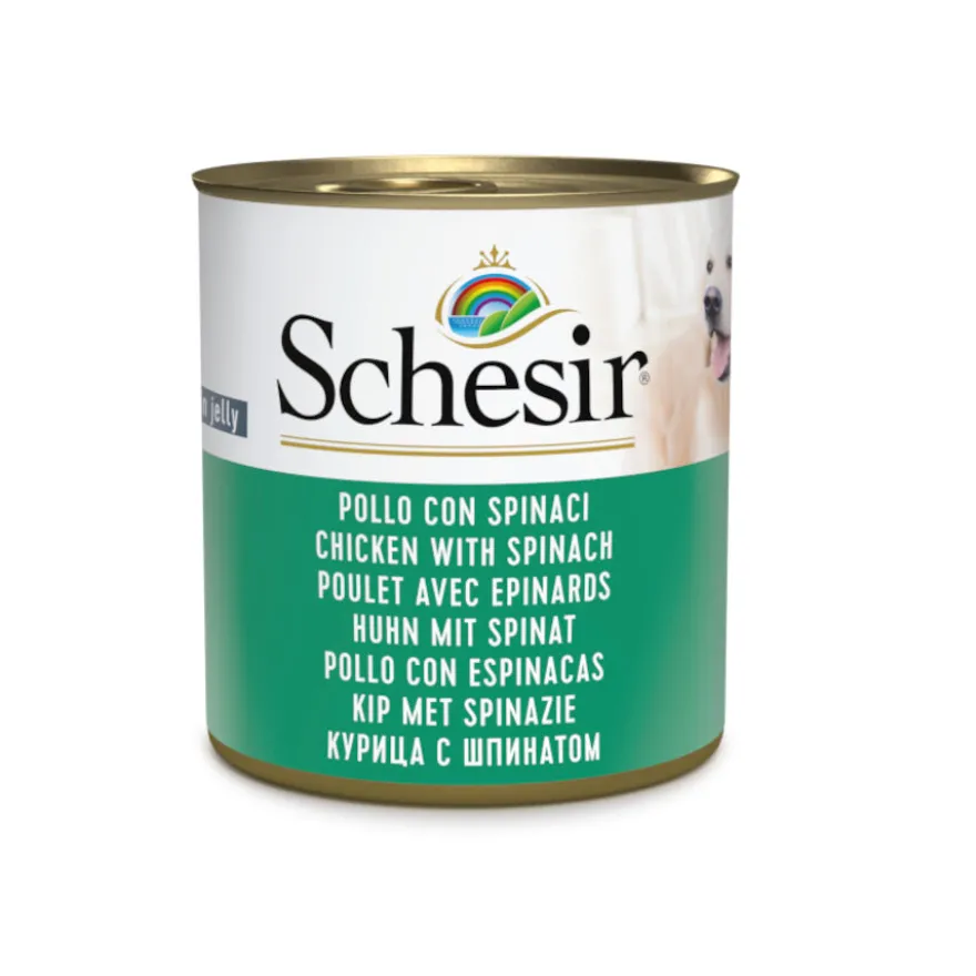 Schesir Adult Frango com Espinafres lata para cães