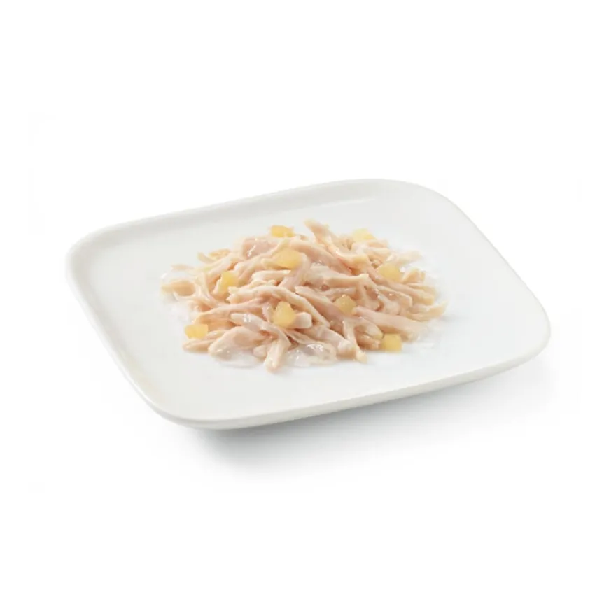 Schesir Adult Frango com Maçã lata para cães