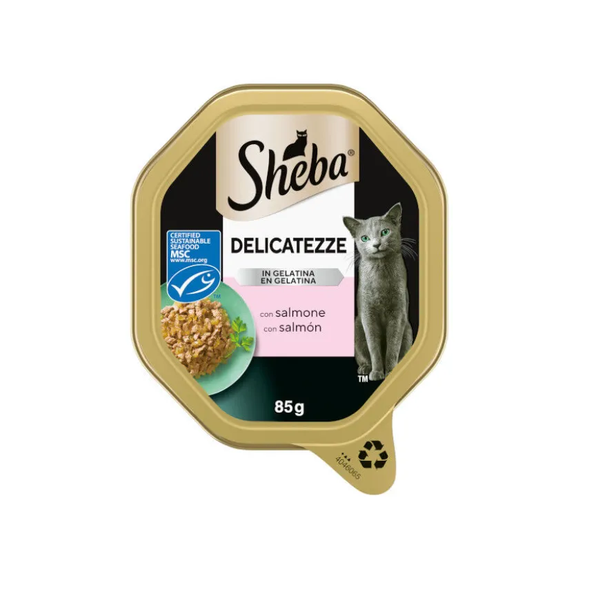 Sheba Delicatezze Comida húmida de Salmão em gelatina en terrina gatos