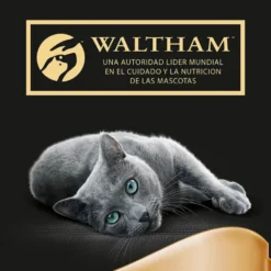 Sheba Délices du Jour em Molho de Carne, Frango e Cordeiro ração húmida para gatos