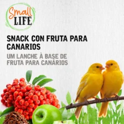 Small Life Barritas Snack com Fruta para canários