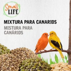 Small Life Mixtura Cubos para canários