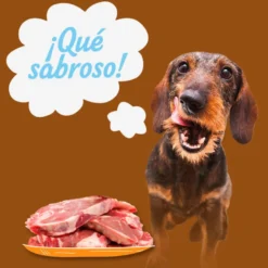 Start Multipack Alimento húmido de frango, vitela e cordeiro em geleia para cães Pack Poupança!