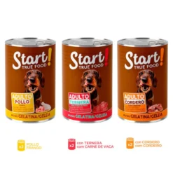 Start Multipack Alimento húmido de frango, vitela e cordeiro em geleia para cães Pack Poupança!