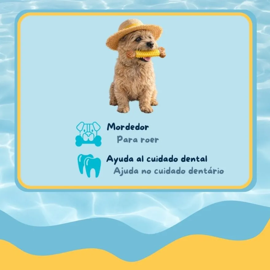Summer Vibes Chew Bone Mordedor em Formato de Osso para cães