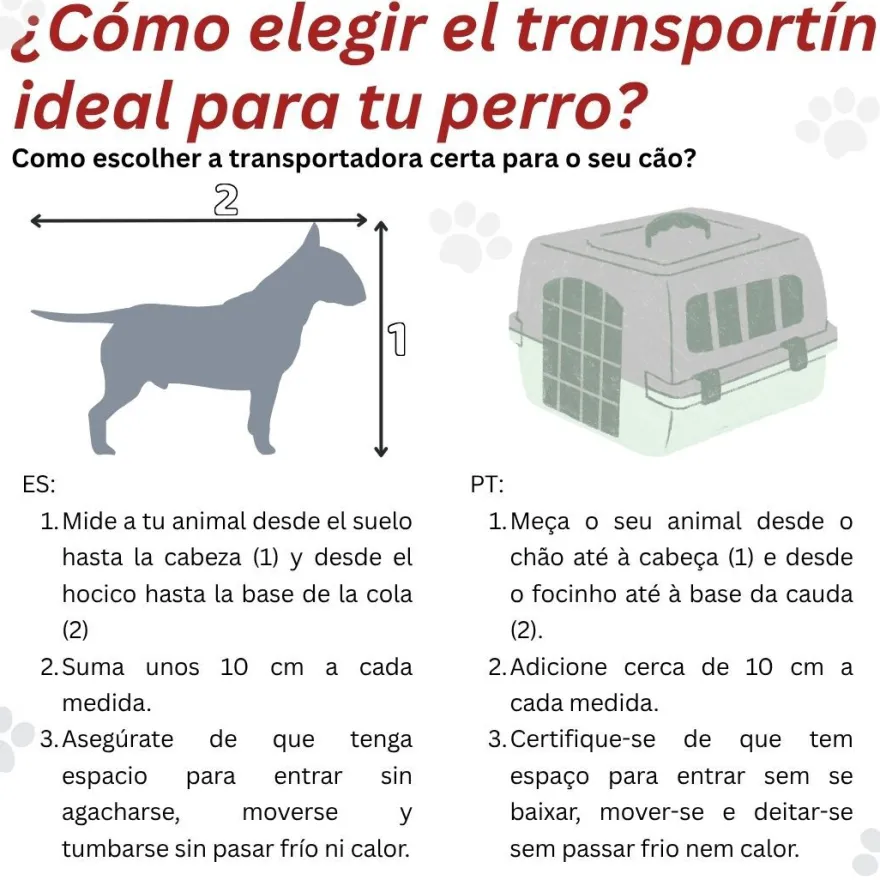 TK-Pet Senda Gipsy Transportadora Roxa para cães e gatos