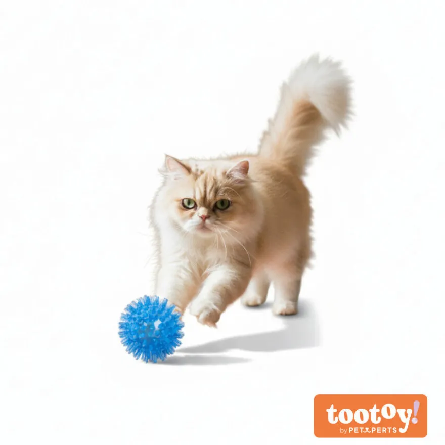 Tootoy! Chase Play Flash Ball Bola para gatos