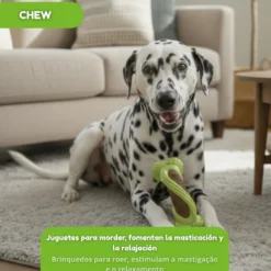 Tootoy! Chew Mordedor osso dentário para cães