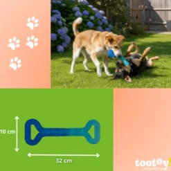 Tootoy! Chew Mordedor pegar e puxar para cães
