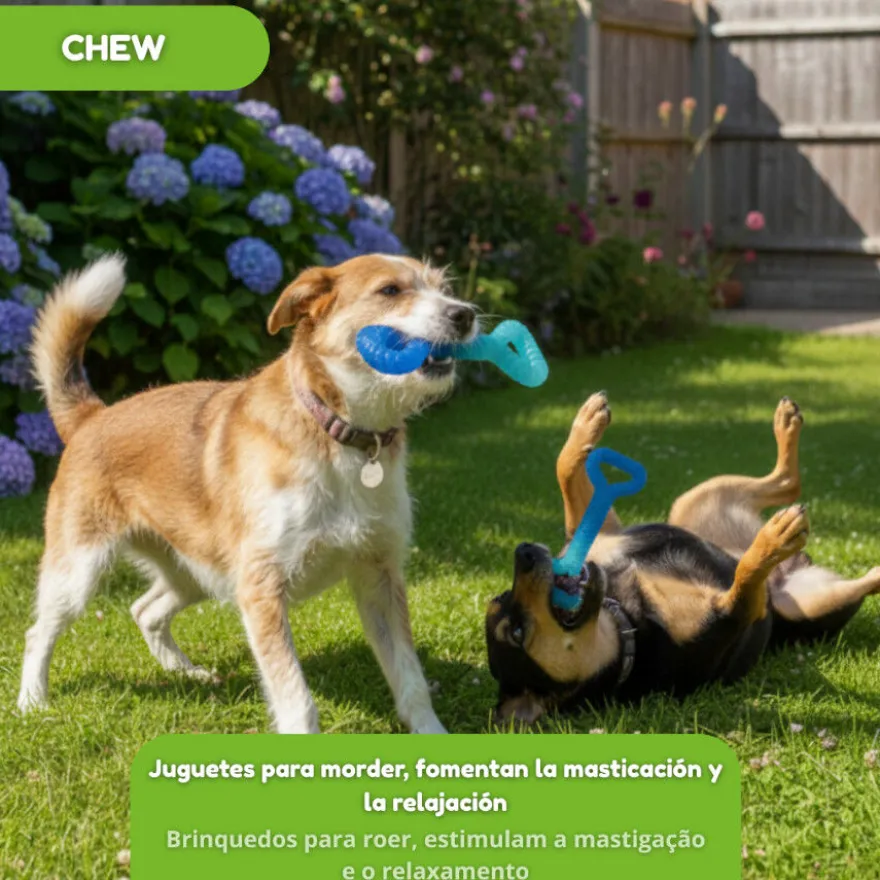 Tootoy! Chew Mordedor pegar e puxar para cães