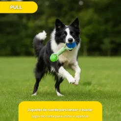 Tootoy! Pull Brinquedo de corda com duas bolas para cães