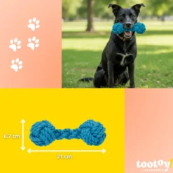 Tootoy! Pull Mordedor corda com par de bolas para cães
