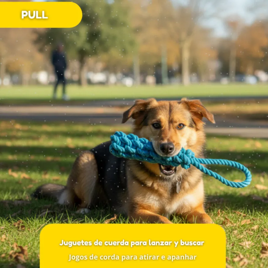 Tootoy! Pull Mordedor de corda para cães