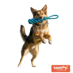 Tootoy! Pull Mordedor de corda para cães