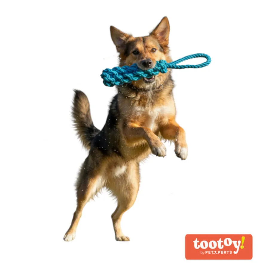 Tootoy! Pull Mordedor de corda para cães