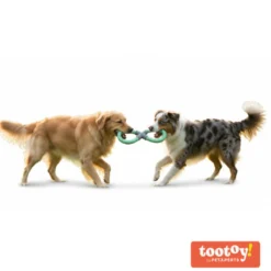 Tootoy! Pull Mordedor de corda com duplo laço para cães
