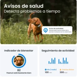 Tractive GPS Dog 6 Rastreador de cães marrom