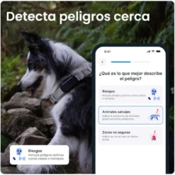 Tractive GPS Dog 6 Rastreador Mint de cães