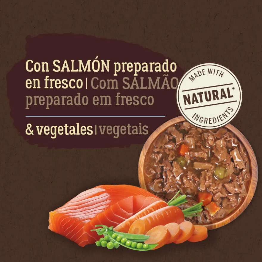 True Origins Pure No Grain Comida húmida de salmão am saqueta para gatos
