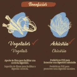 True Origins Pure No Grain Ração de salmão para cães