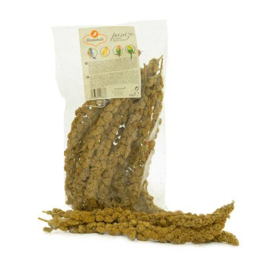 Vivanimals milho em espiga para aves.