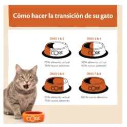 Wellness Core Adult Frango e Peru ração para gatos