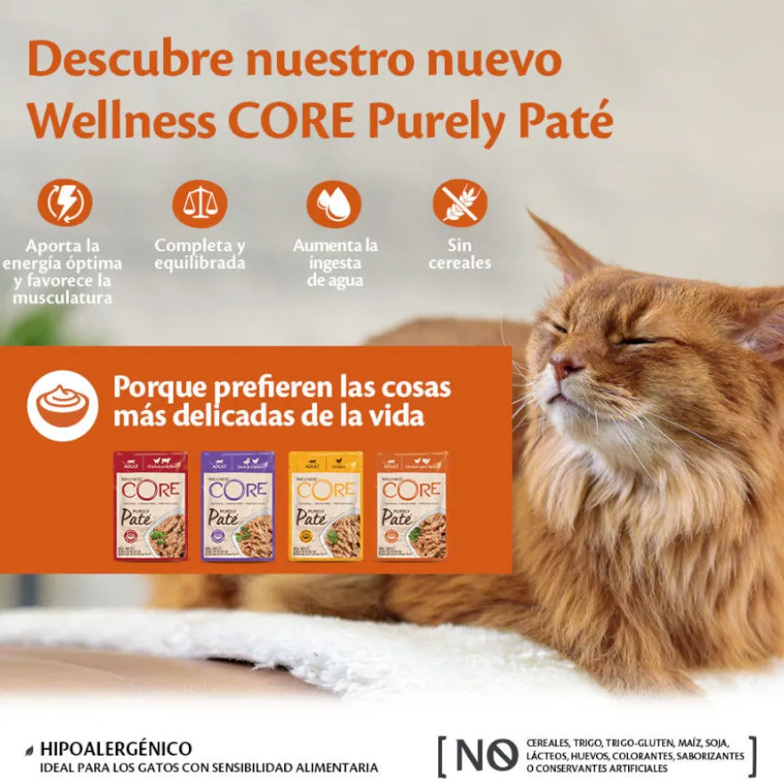 Wellness Core Adult Purely Pato e Frango em Patê saqueta para gatos