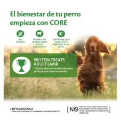 Wellness Core Biscoitos Protein Treats Cordeiro para cães