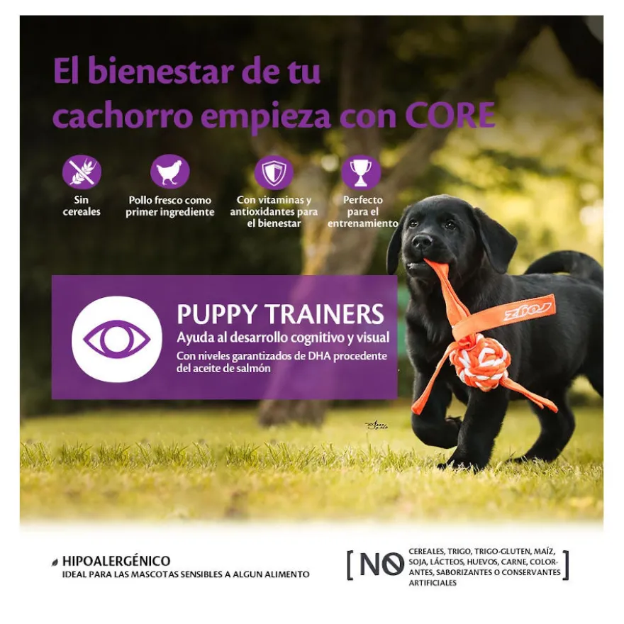 Wellness Core Biscoitos Puppy Trainers Frango para cães