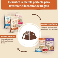 Wellness Core Chunky frango e peru lata para gatos