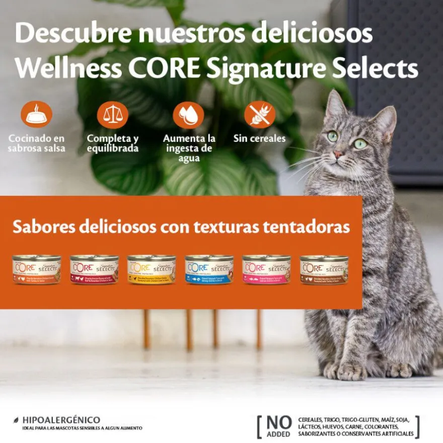 Wellness Core Flaked atum lata para gatos