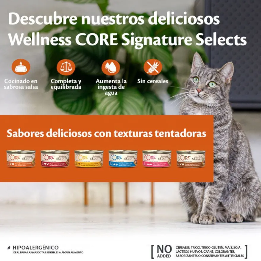 Wellness Core Flaked Salmão em lata para gatos