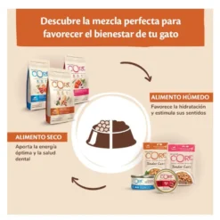 Wellness Core Single Protein Frango e Javali terrina para gatos