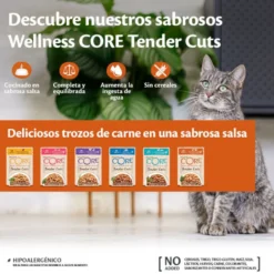 Wellness Core Tender Cuts frango e salmão saquetas para gatos