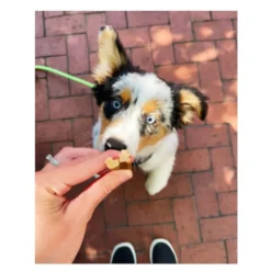 Whimzees Puppy XS/S Snacks Dentários Naturais para cães