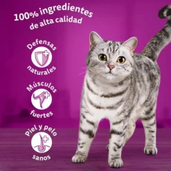 Whiskas Boi e Frango Molho em Saqueta para Gatos - Multipack