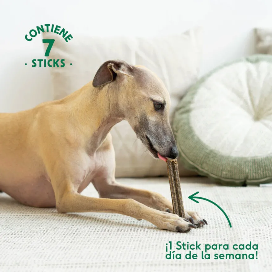 Wild Balance Stick Dentário de Vaca para Cães