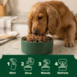 Wild Balance toppers molho de salmão para ração de cães