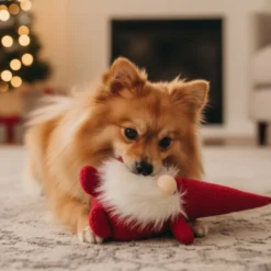 Wonder Christmas Peluche Pai Natal para Cães